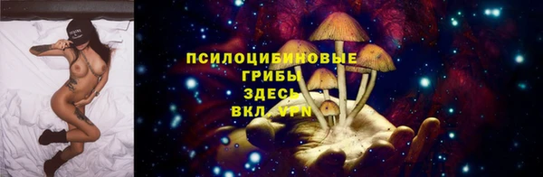 прущие крисы Абинск