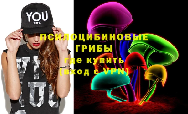 прущие крисы Абинск
