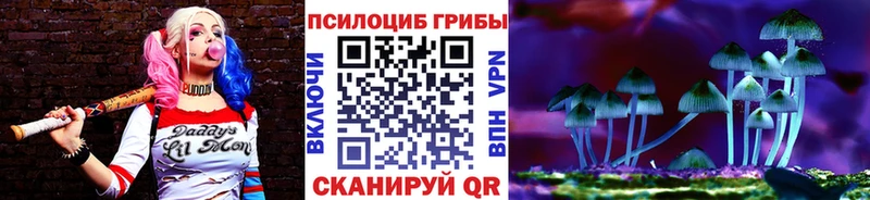 где купить наркоту  shop наркотические препараты  Псилоцибиновые грибы GOLDEN TEACHER  Новокубанск 