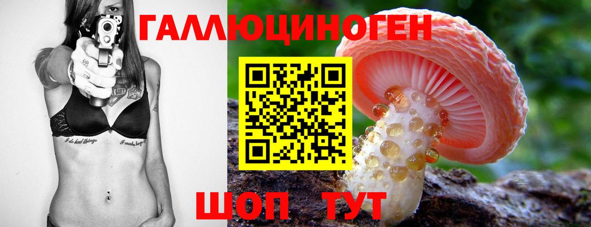 Новокубанск  Псилоцибиновые грибы мицелий  Вход с VPN 
