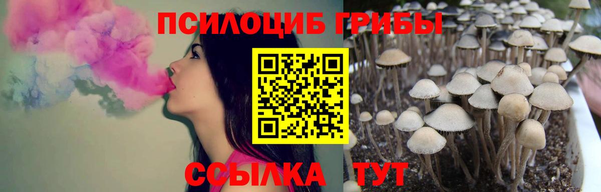 Псилоцибиновые грибы MAGIC MUSHROOMS Новокубанск